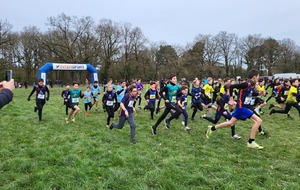 Départementaux de cross